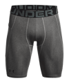 Under Armour HeatGear Long Short Grau F090