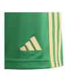 adidas Tiro 24 Short Kids Grün Orange - gruen