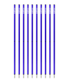 Cawila Academy Slalomstangen 10er Set (33mmx170cm) Blau - blau