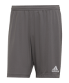 adidas Entrada 22 Short | Grau - grau
