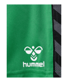 Hummel AUTHENTIC PL Short Kids Grün F6235 - gruen