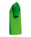 Erima WINGS Trikot Grün F3132606 - gruen
