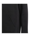 adidas Entrada 22 Hoody Kids Schwarz - schwarz