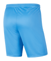 Nike Park III Short Blau F412 - blau