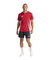 adidas Tiro 24 Trikot Rot Weiss - rot