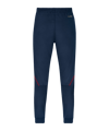 JAKO Challenge Polyesterhose Blau F905 - blau
