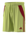 adidas Tiro 24 Short Gelb 