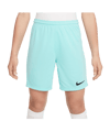 Nike Park III Short Kids Grün F354