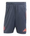 adidas FC Bayern München Training Short Weiß - weiss