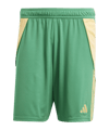 adidas Tiro 24 Short Grün Orange