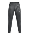 Under Armour Trainingshose Grau F025 - grau