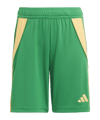 adidas Tiro 24 Short Kids Grün Orange - gruen