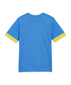 PUMA teamGOAL Matchday Trikot Kids Blau Gelb F16 - blau