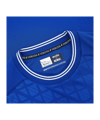 Macron Karlsruher SC Trikot Home 2026/2027 Blau - blau