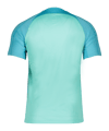 Nike Strike III Trikot Grün F354 - gruen
