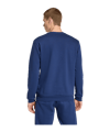 adidas Entrada 26 Sweatshirt Blau - blau