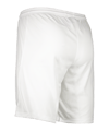 Nike Park III Short Kids Weiss Grün F102 - weiss