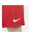 Nike Park III Short Rot F657 - rot