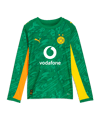 PUMA Borussia Dortmund LS Torwarttrikot 2025/2026 Kids Grün F98
