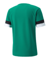 PUMA teamRISE Trikot Grün F05 - gruen
