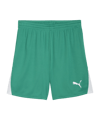 PUMA teamLIGA26 Short Grün F05 - gruen