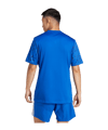 adidas Team Icon 25 Trikot Hellblau - blau