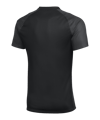 Nike Academy II Trikot Schwarz F010 - schwarz