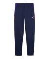 PUMA IndividualLIGA Trainingshose Kids Blau F01 - blau