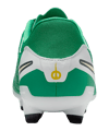 Nike Legend 10 Academy FG Grün F300 - gruen