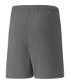 PUMA teamRISE Short Kids Grau Weiss F13 - grau