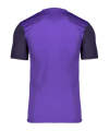 Nike Dri-FIT Trophy 5 Trikot Lila F547 - lila