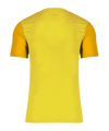 Nike Dri-FIT Trophy 5 Trikot Gelb F719 - gelb