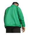 PUMA teamGOAL Allwetterjacke Grün Weiss F05 - gruen