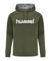 Hummel Cotton Logo Hoody Grün F6084 - gruen