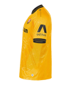JAKO Dynamo Dresden Trikot Home 2025/2026 Gelb F307 - gelb