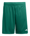 adidas Entrada 26 Short Grün - gruen