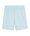 PUMA teamGOAL Short Blau F39 - blau
