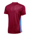Nike Park Derby IV Trikot Kids Rot Blau F677 - rot