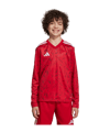 adidas Team Icon 25 Trikot langarm Kids Rot - rot