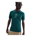 Nike Nigeria Trikot Home 2025/2026 Grün F483 - gruen