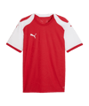 PUMA teamFINAL26 Knit Trikot Rot F01 - rot