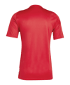 adidas Tiro 24 Trikot Rot Weiss - rot