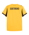 PUMA Borussia Dortmund Cup Authentic Trikot Gelb F03 - gelb