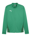 PUMA teamGOAL Trainingsjacke Grün F05 - gruen