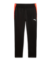 PUMA IndividualLIGA Trainingshose Schwarz F07 - schwarz