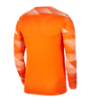 Nike Park IV TW-Trikot langarm Orange F819 - orange
