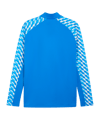 PUMA teamLIGA26 Training 1/4 Zip Top Blau F02 - blau