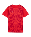PUMA teamULTIMATE Trikot Kids Rot F01 - rot