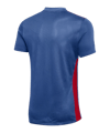 Nike Park Derby IV Trikot Blau Rot F464 - blau