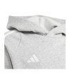 adidas Tiro 24 Hoody Kids Grau Weiss - grau
